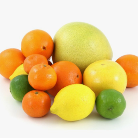 Dernières solutions de l'entreprise Couche comestible à base de cire de carnaube pour la conservation des fruits après récolte