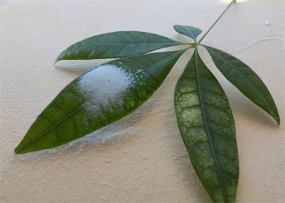 Un bon prix. Résine acrylique solide à haute adhésion soluble dans les alcools pour encre en ligne