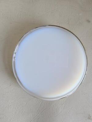 Qualité Styrene-Acrylic Emulsion with Superior Salt Spray & Early Water Resistance usine